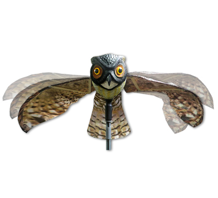 scare owl1305
