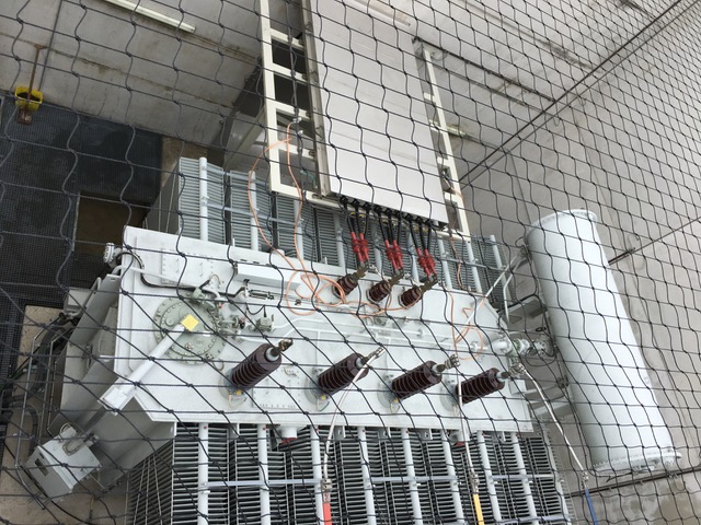 Stacks Image 56