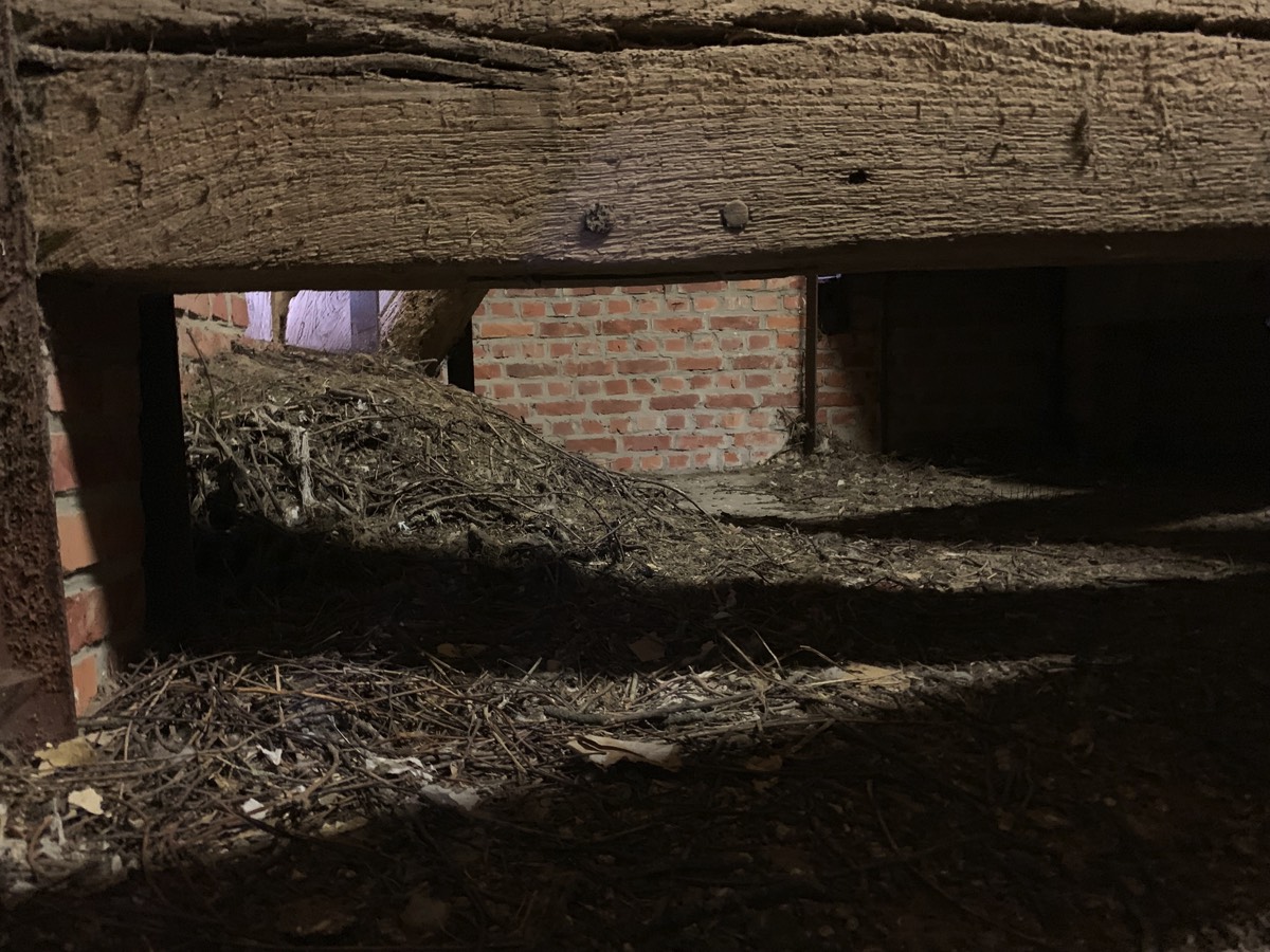 Stacks Image 129